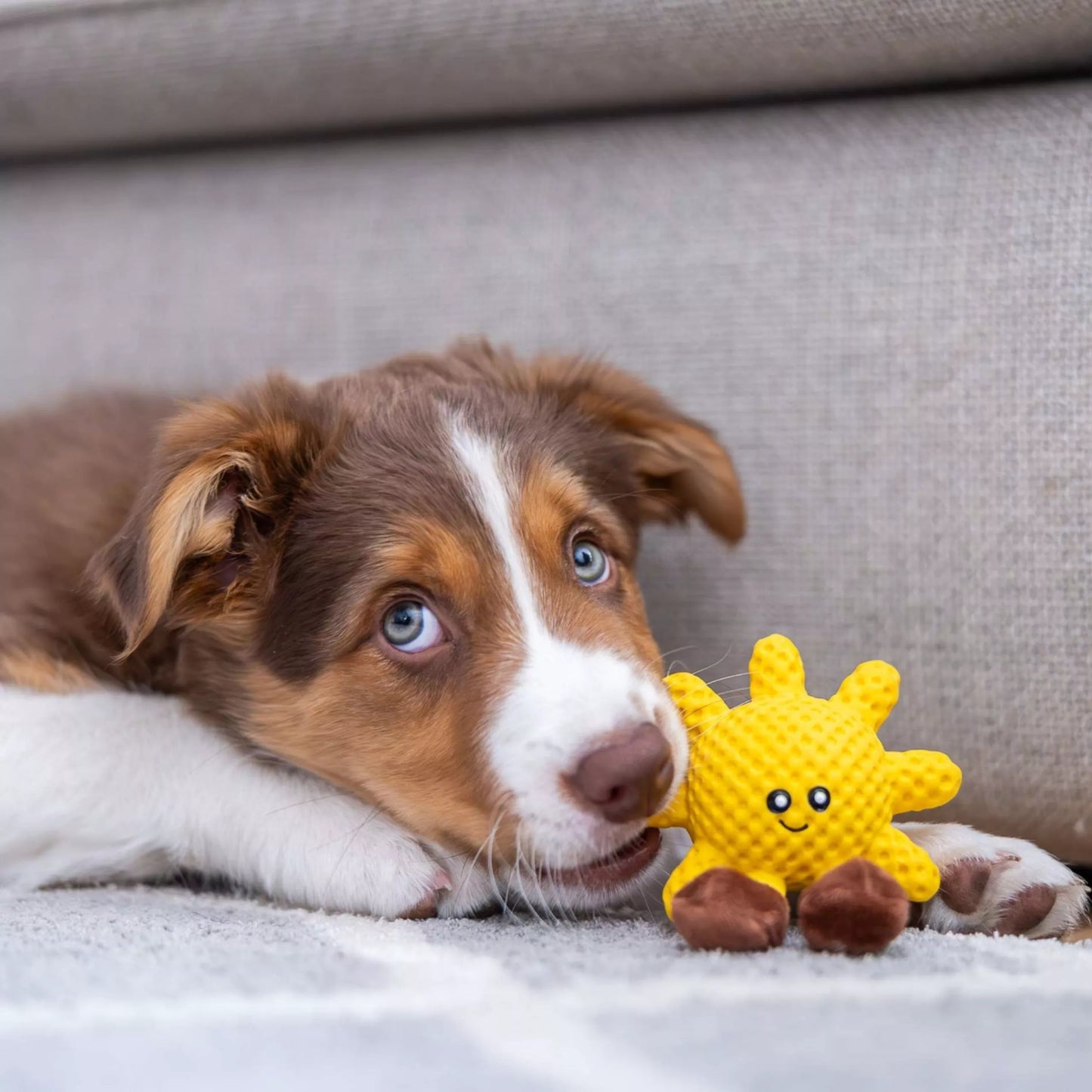 Quapas! Puppy Speeltje Sunny (7 cm) – Zacht Latex Hondenspeeltje met Pieper