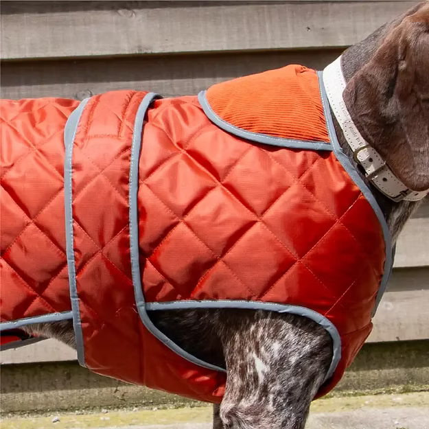 Heritage Terracotta winterjas – waterdicht en warm