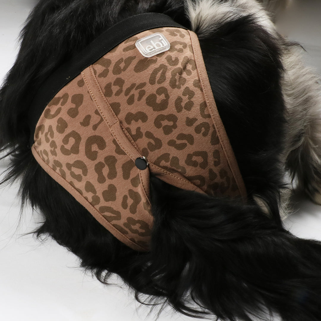 EBI Loopsheidsbroekjes Hond Bruin 2-pack | XS t/m XXL