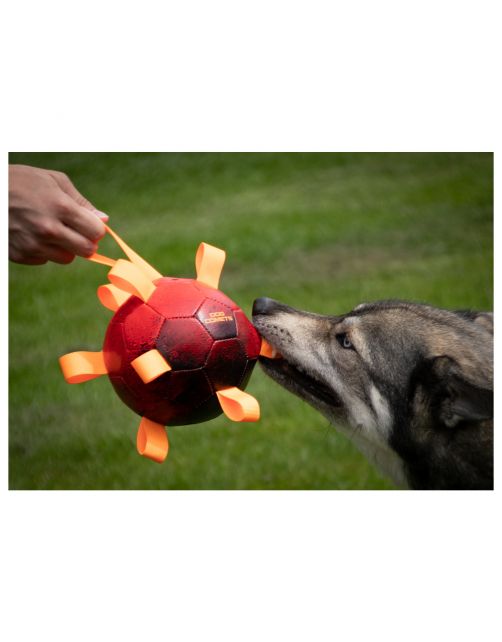 Dog Comets Hypernova Bal M Ø15 cm – Extra Stevige Apporteerbal met Nylonlussen (Drijft & Stuitert)