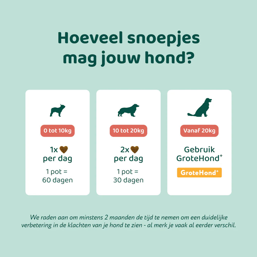 DogSuppy Probiotica Forte Anti-Jeuk – Supplement voor Honden bij Jeuk, Pootlikken & Allergieën (60 Chewies)