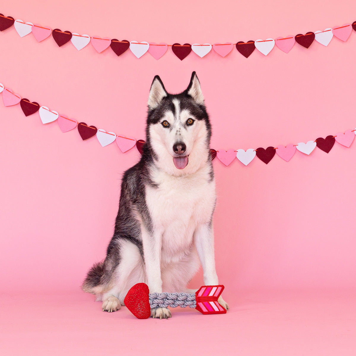 Pet Shop by Fringe Studio Aiming For You Hondenspeeltje met Pieper en Knisper