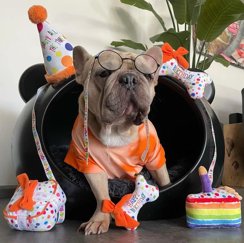 Haute Diggity Dog Happy Birthday Pawty Hat Hondenspeeltje met Pieper