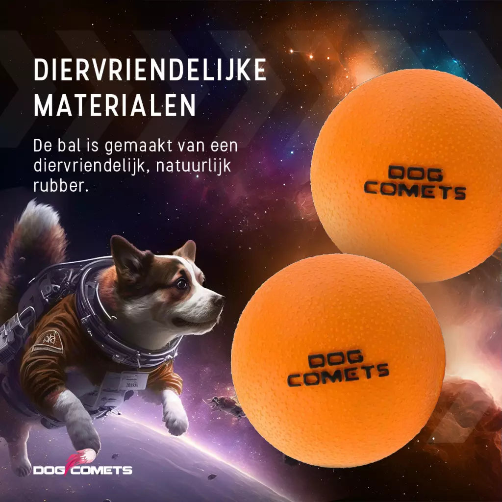 Dog Comets Stardust Roze M 2-pack | Stuiterbal Ø6 cm (Drijvend)