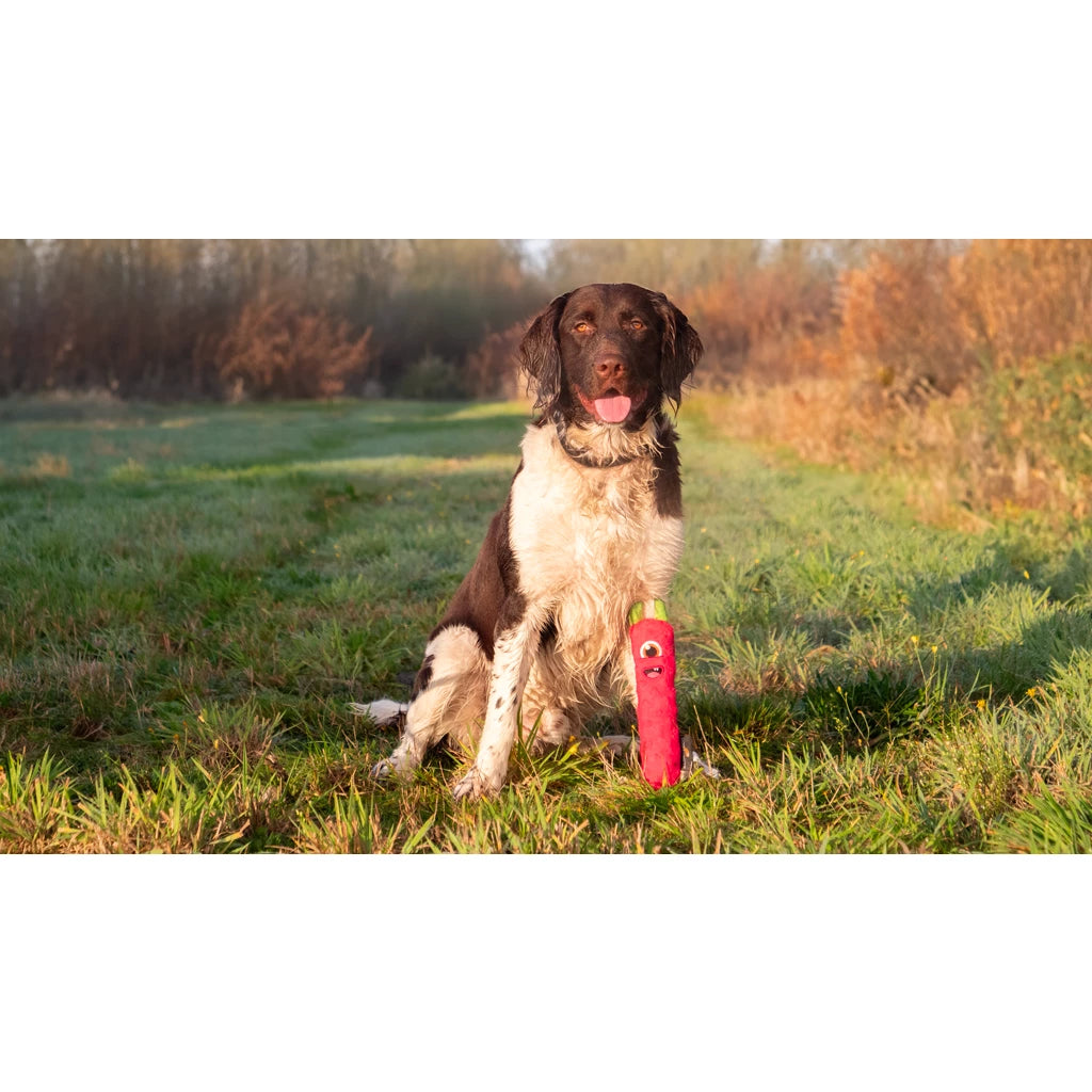 Dog Comets Invaders – Roze (Medium)