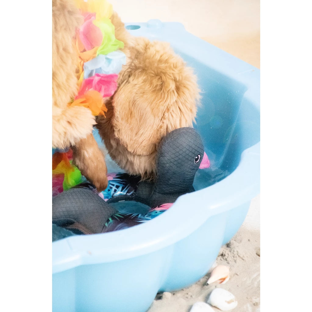 CoolPets Ring O’ Ducky - Speelgoed dat blijft drijven