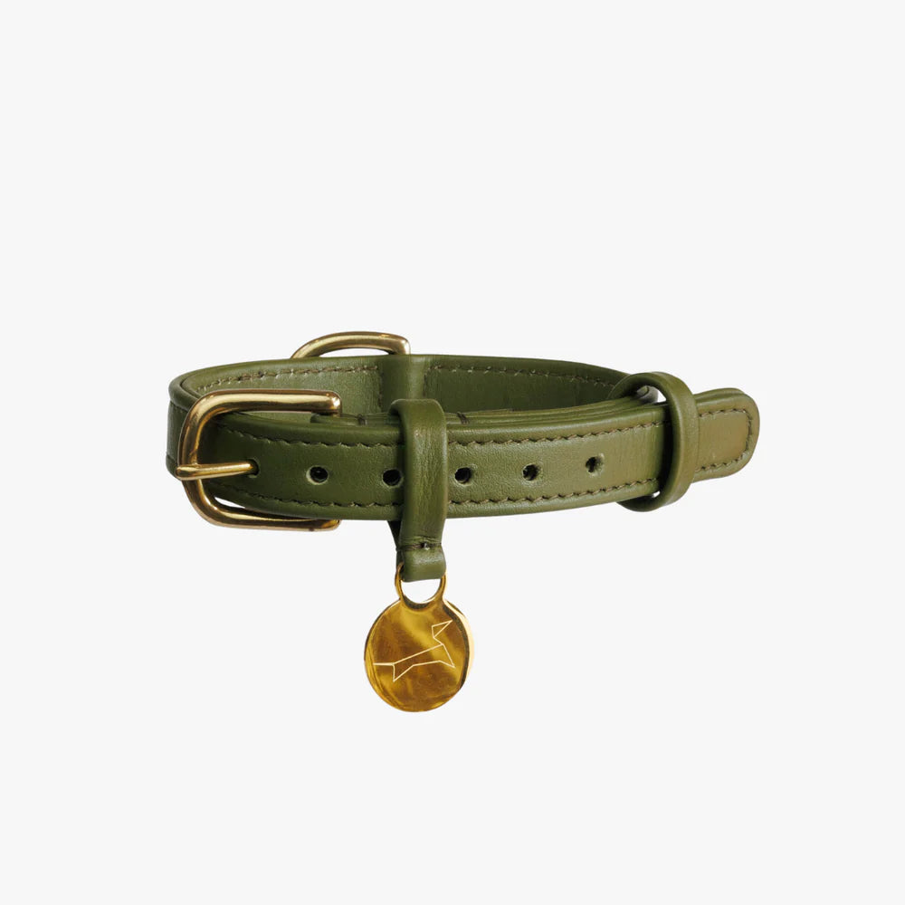 Luxe leren hondenhalsband met naampenning
