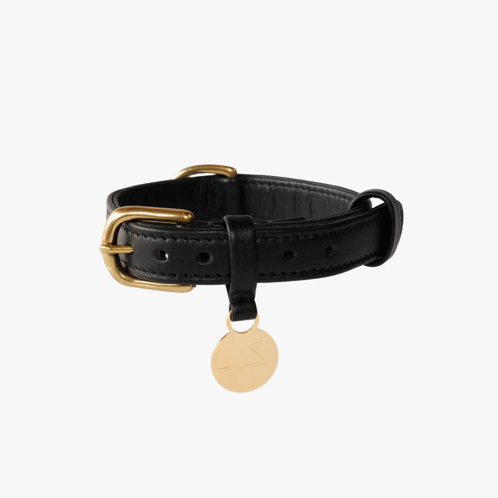 Luxe leren hondenhalsband met naampenning