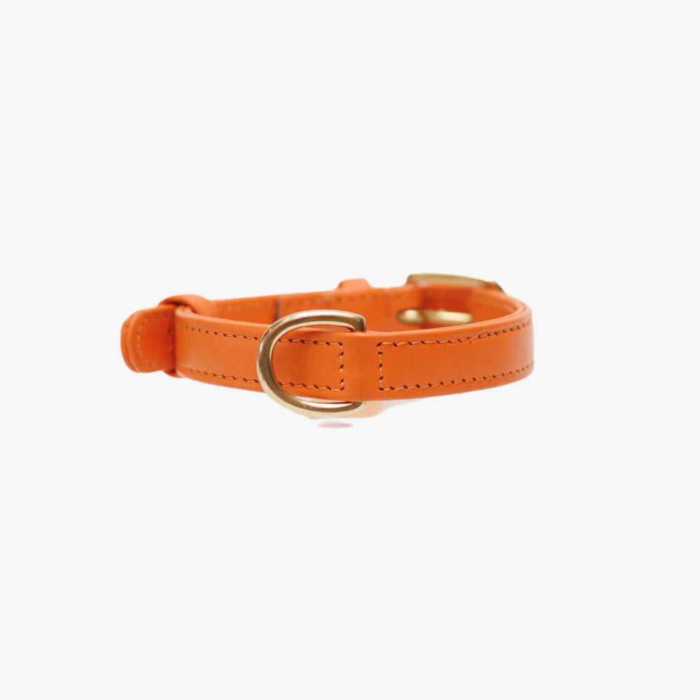 Luxe leren hondenhalsband met naampenning