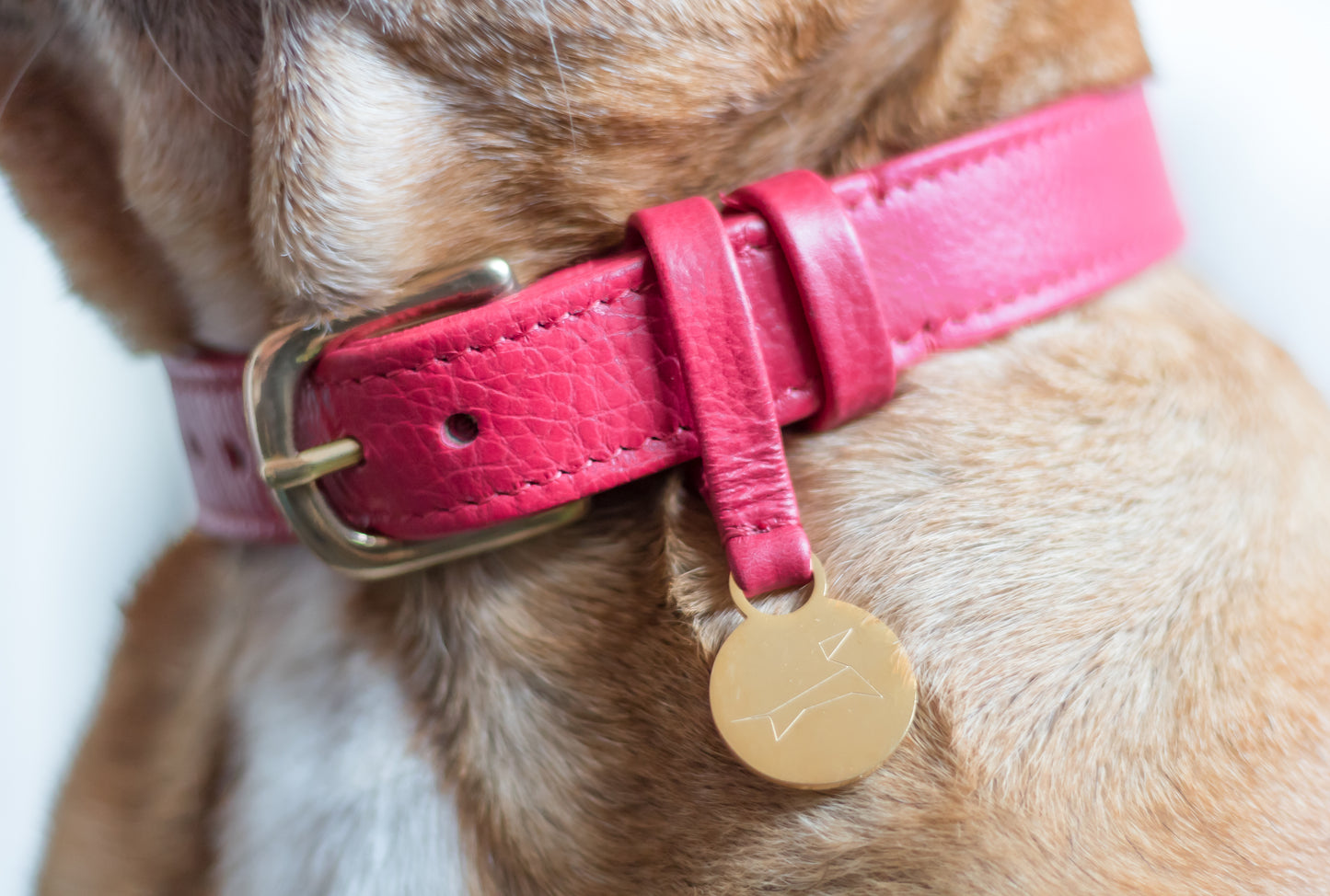 Trixie Span Pontis Winterjas met Tuig – Roze