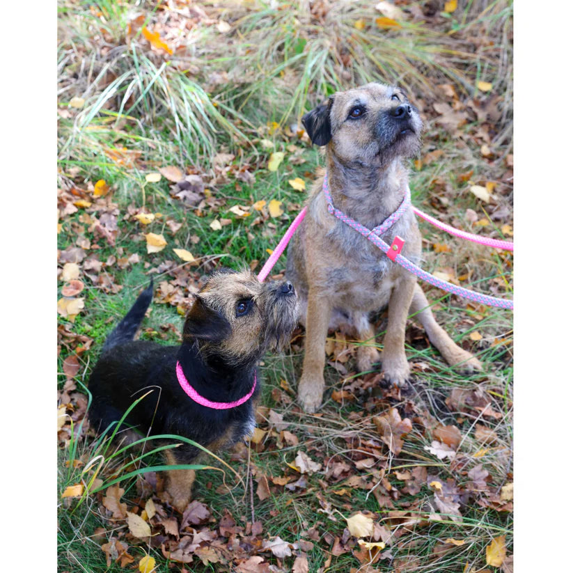 Jachtlijn German Shepherd – Stevig, stijlvol & functioneel (13 + 17 mm)