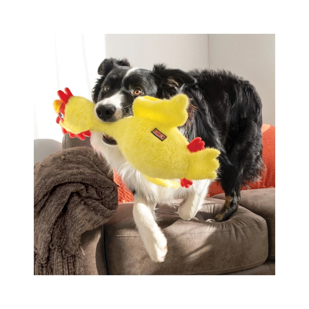 KONG Scruffs Chicken – Langnek, Veel Piepgeluid & Knuffelplezier