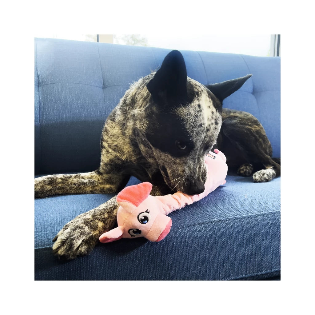 KONG Shakers Bobz Pig Hondenspeeltje met Pieper en Extra Lang Lijf