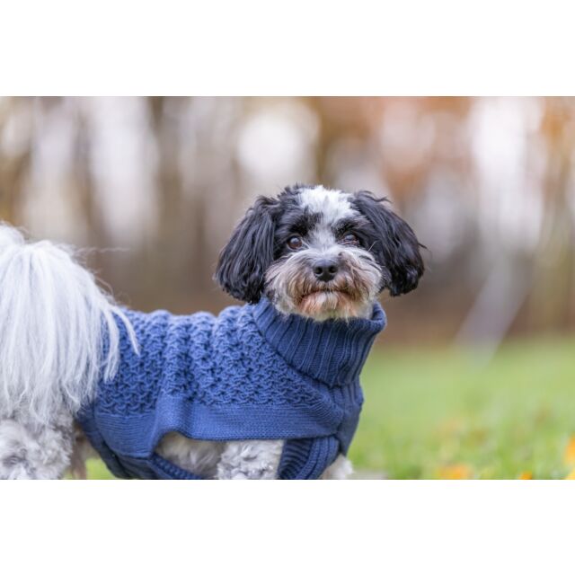 Trixie Hondentrui Norwood – Blauw