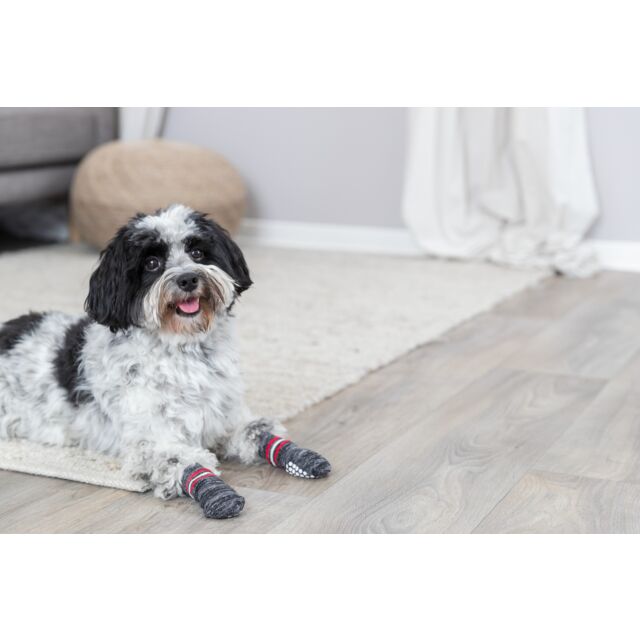 Trixie hondensokken met anti-slip rubberlaag – pootbescherming voor honden