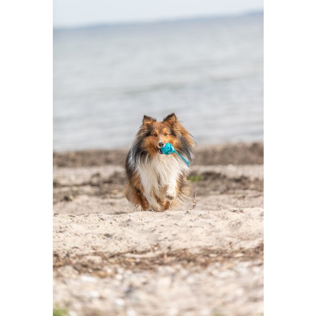 Trixie Honingraat Bal aan Koord 6x23cm | TPE Apporteerspeeltje