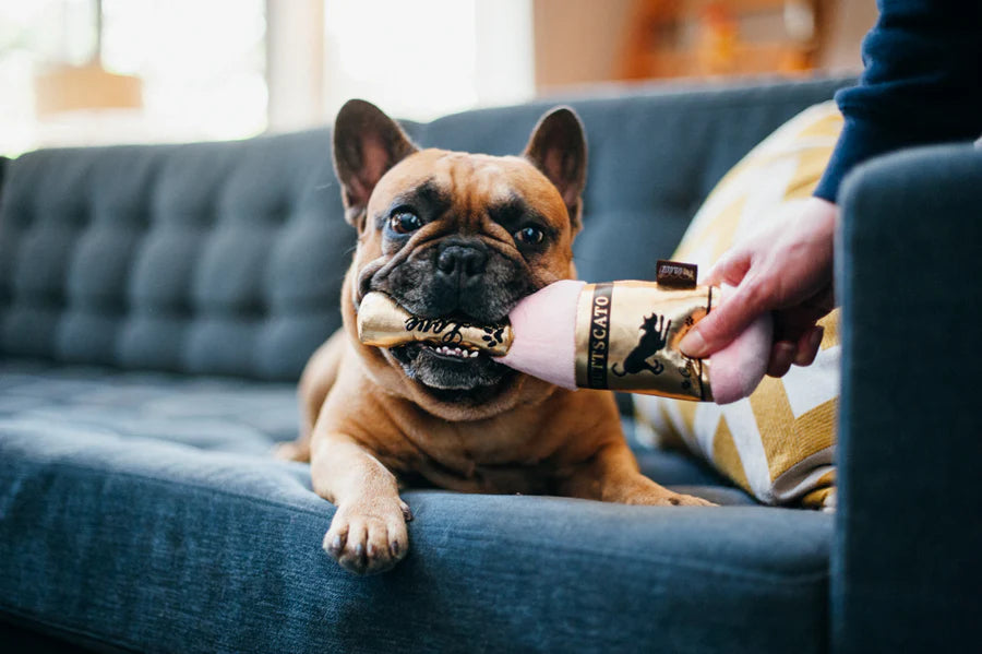 P.L.A.Y. Puppy Love Barkling Bubbly Muttscato Hondenspeeltje