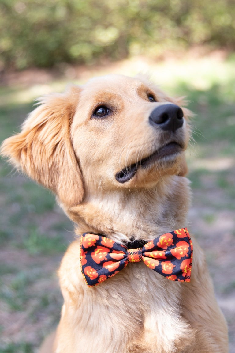 HK Bow Tie Plaid O’ Lantern – Halloween Strik voor Honden – S t/m XL