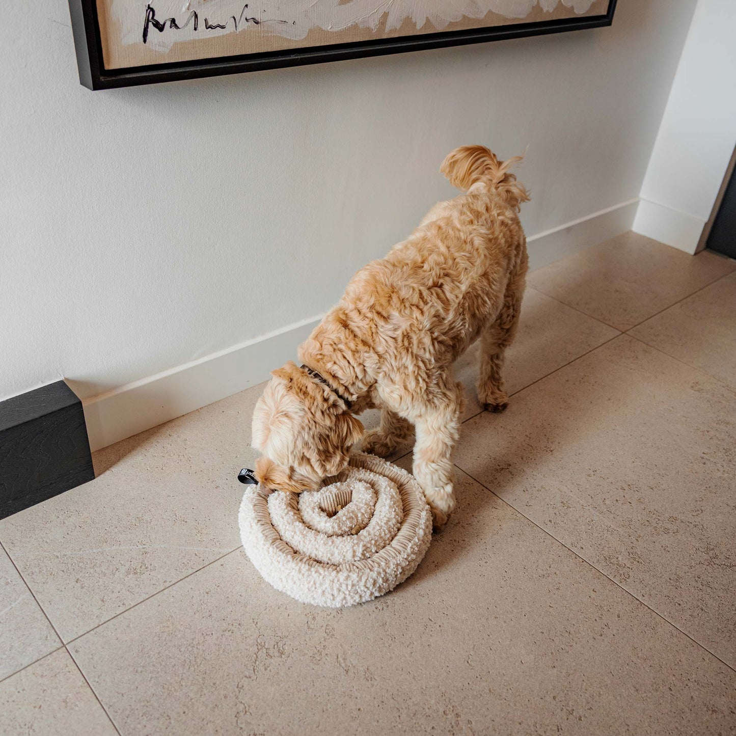 District 70 SWIRL Snuffelmat voor Honden Mentale Uitdaging en Anti-Verveling
