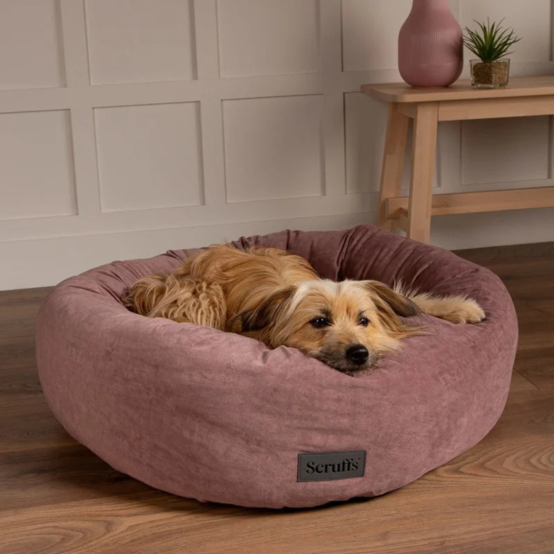 Scruffs Oslo Mand – Grey & Scandinavisch comfort