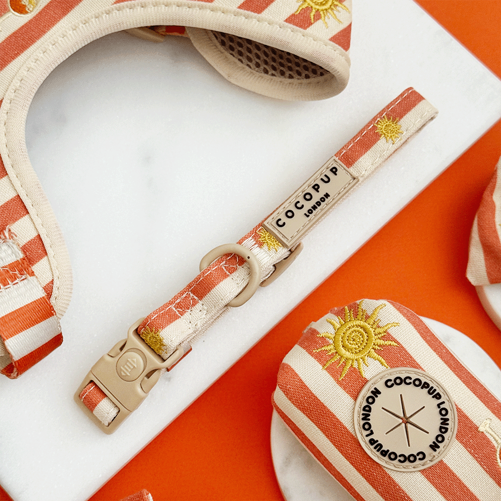 Cocopup London Sunshine & Spritz – Hondenhalsband – productfoto Cocopup London
