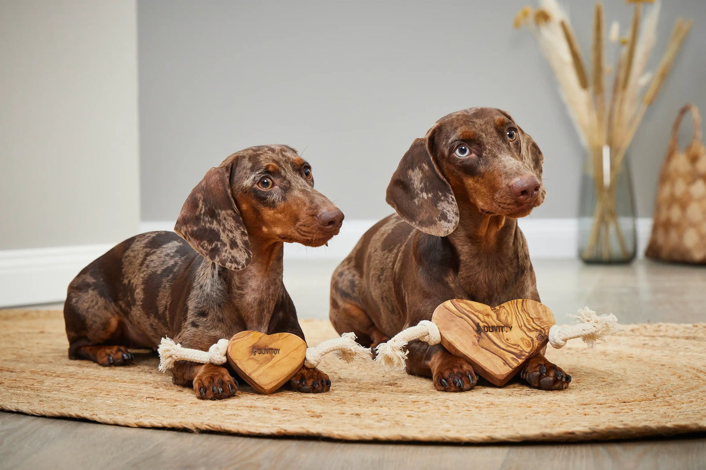 Olivi Heart with Rope Natuurlijk Houten Kauwspeeltje voor Honden