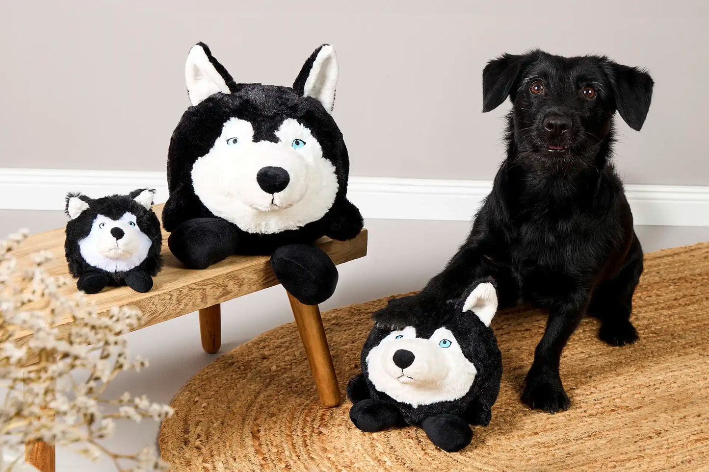 Plush Ball Henry Husky Zachte Hondenknuffel zonder Pieper