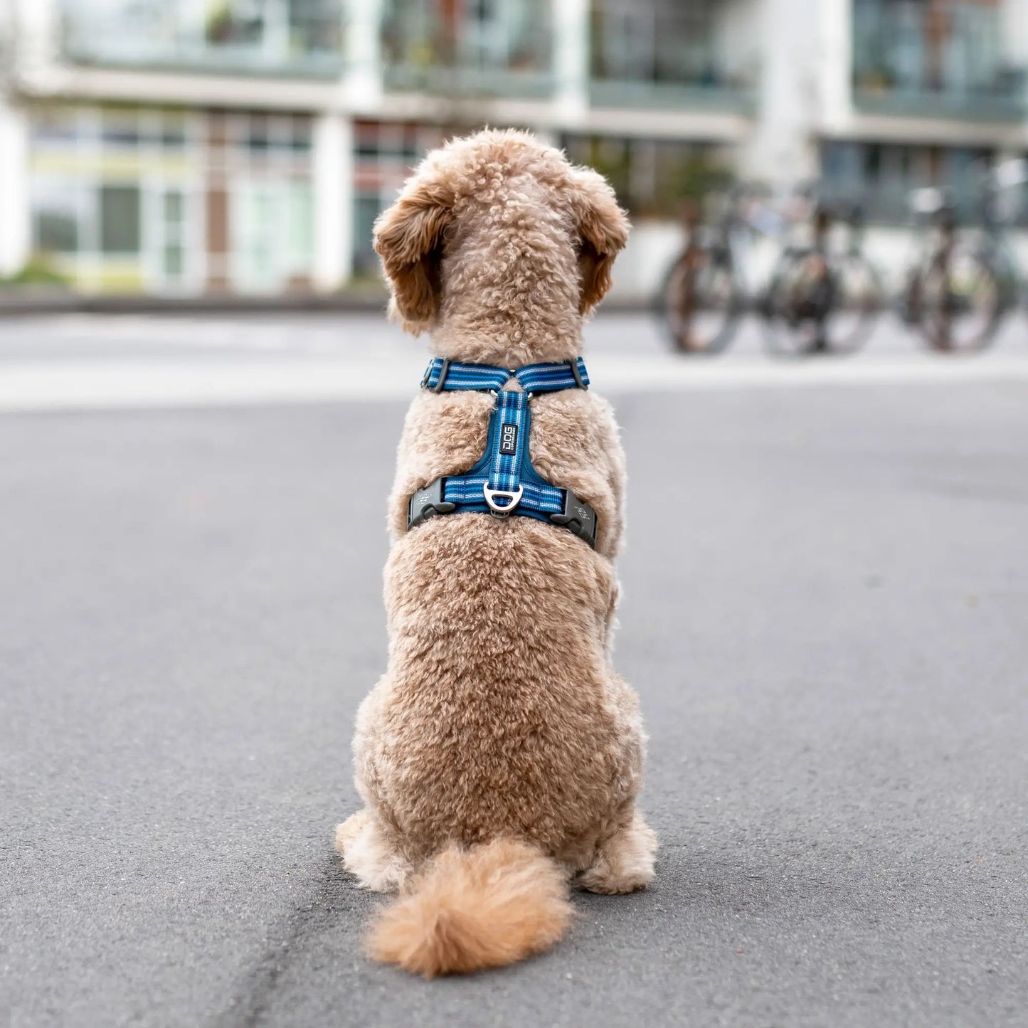 Dog Copenhagen Comfort Walk Air Bruin 3.0