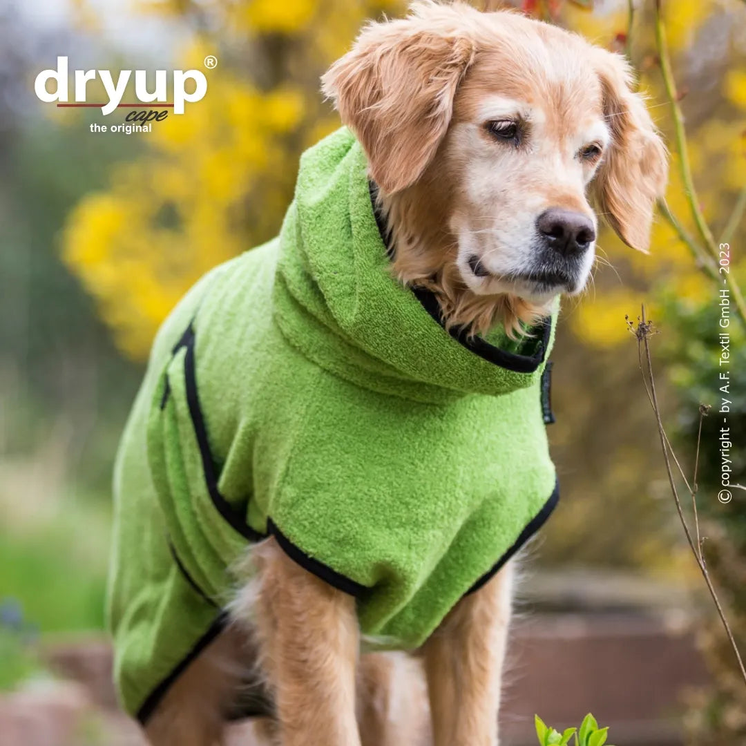 dryup® Cape Hondenbadjas - Kiwi Groen maat XS - XXL