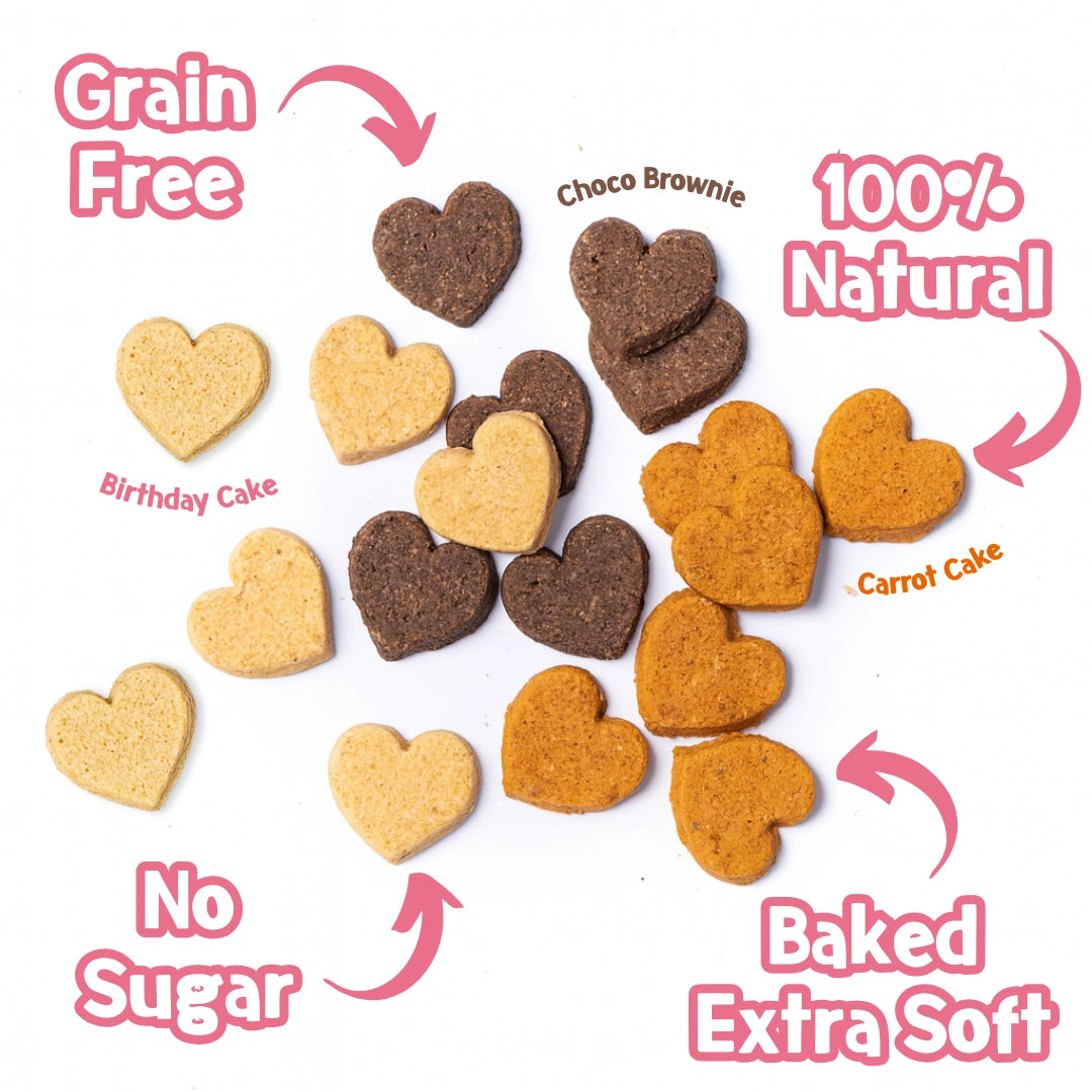 PARK LiFE Birthday Boy! – Graanvrije Hondensnacks 240 g