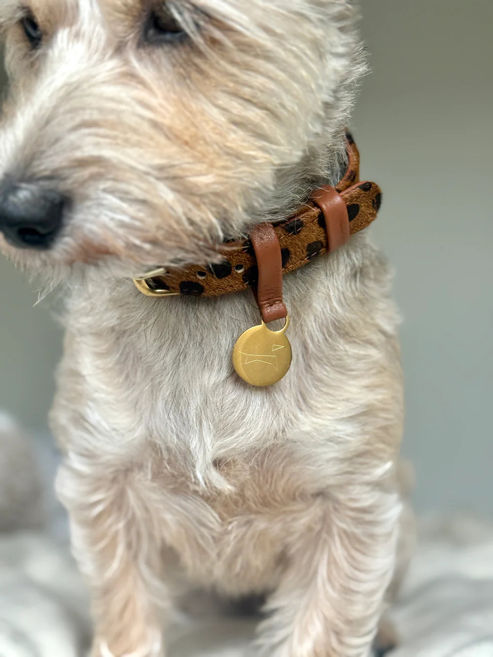 Hondenhalsband Luxe Leer met Naam Penning – Klassiek (Cheetah)
