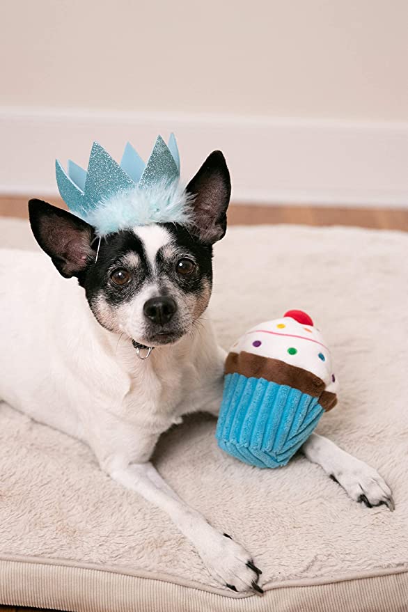 Power Plush Pupcake Blauw – Pluche hondenspeeltje met pieper & crinkle
