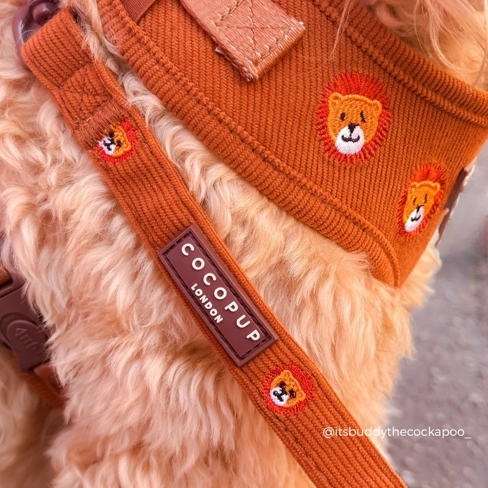 Cocopup London Leo the Lion – Hondenlijn