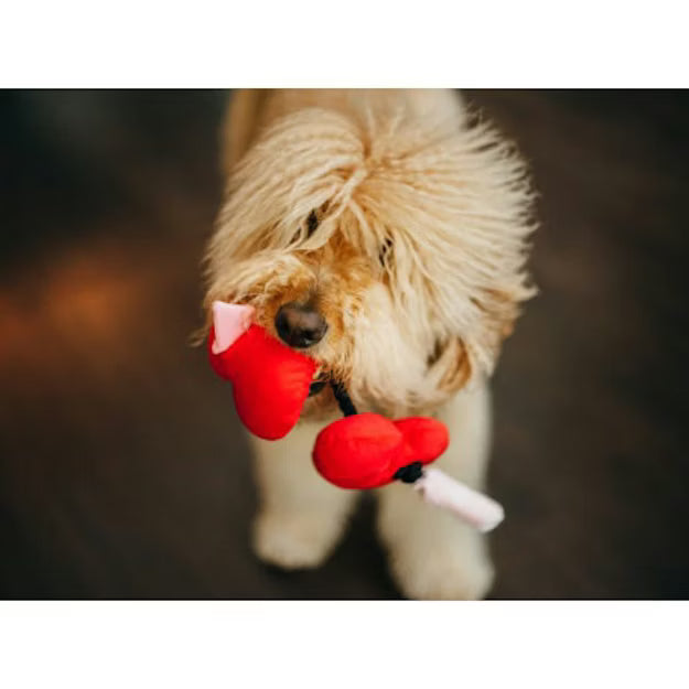 P.L.A.Y. Pet Puppy Love Fur-Ever Hearts Hondenspeeltje met Piepers en Touw