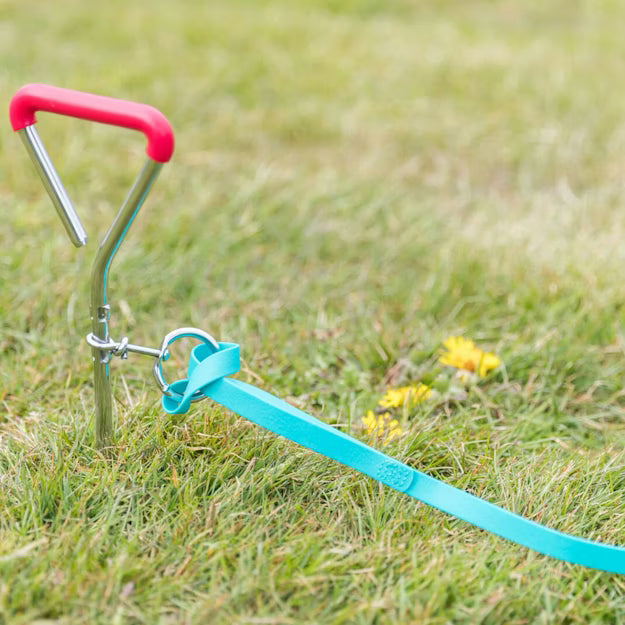 Trixie Grondpen – Stevige hondenaangelegspiraal voor buiten