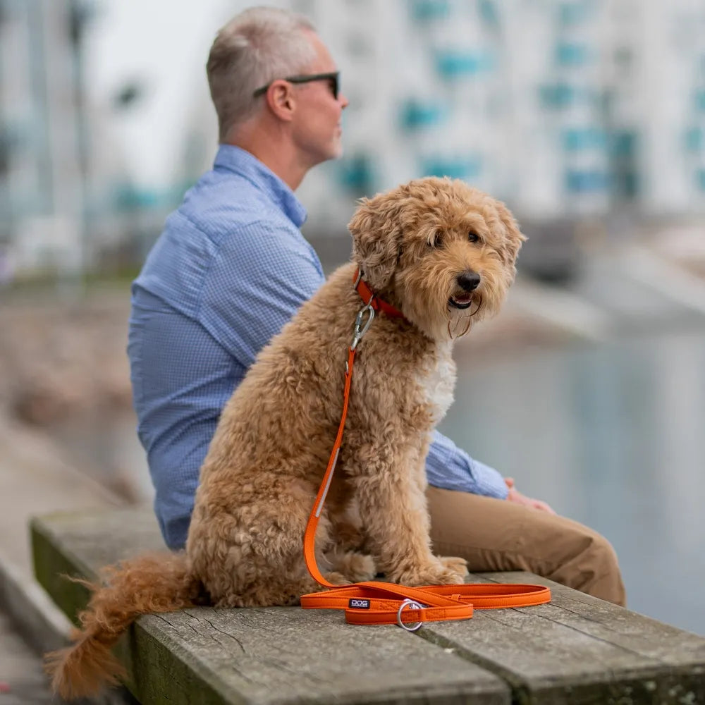 DOG Copenhagen Urban Classic Vegan Hondenlijn – Mocca