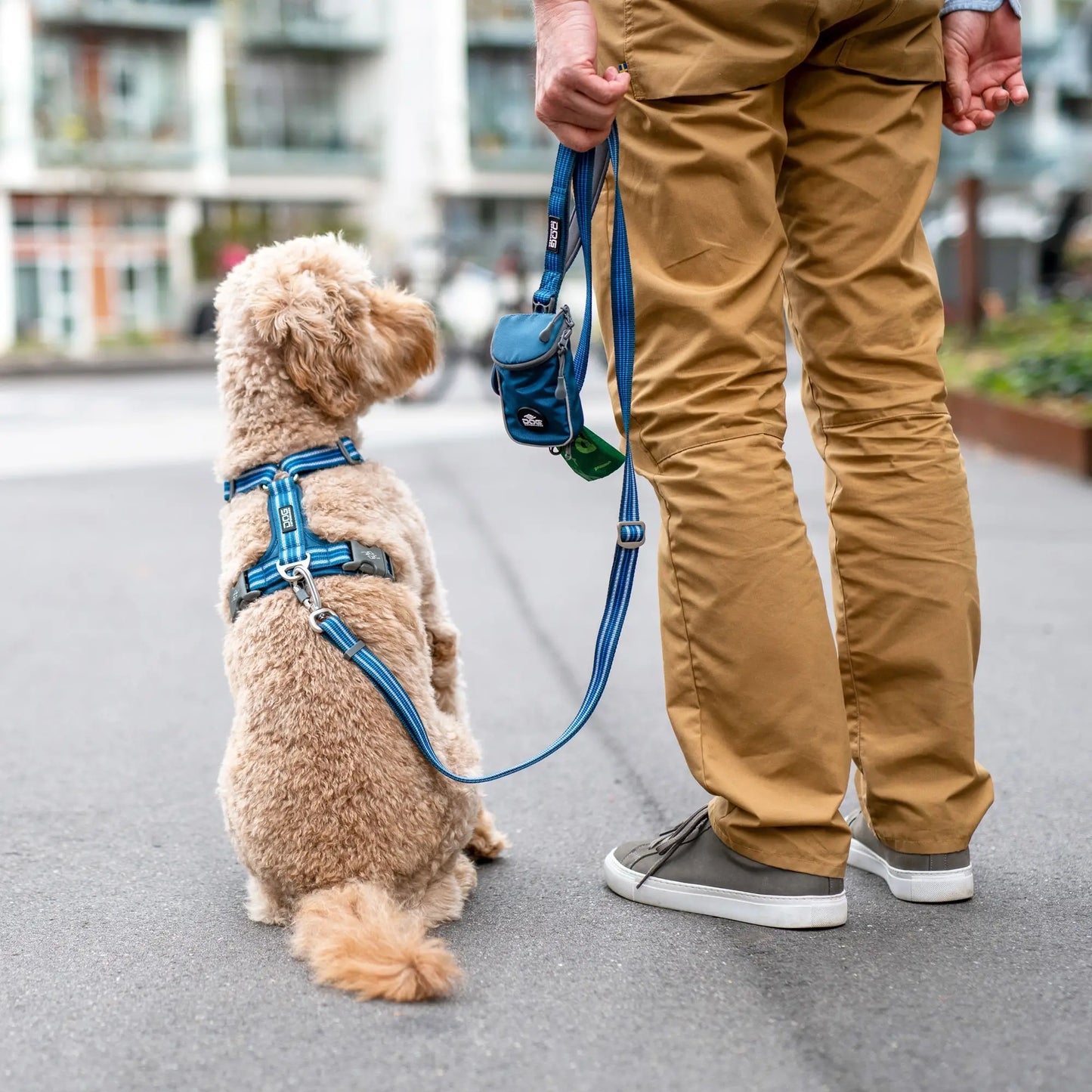 Dog Copenhagen Urban Freestyle Leash Zwart