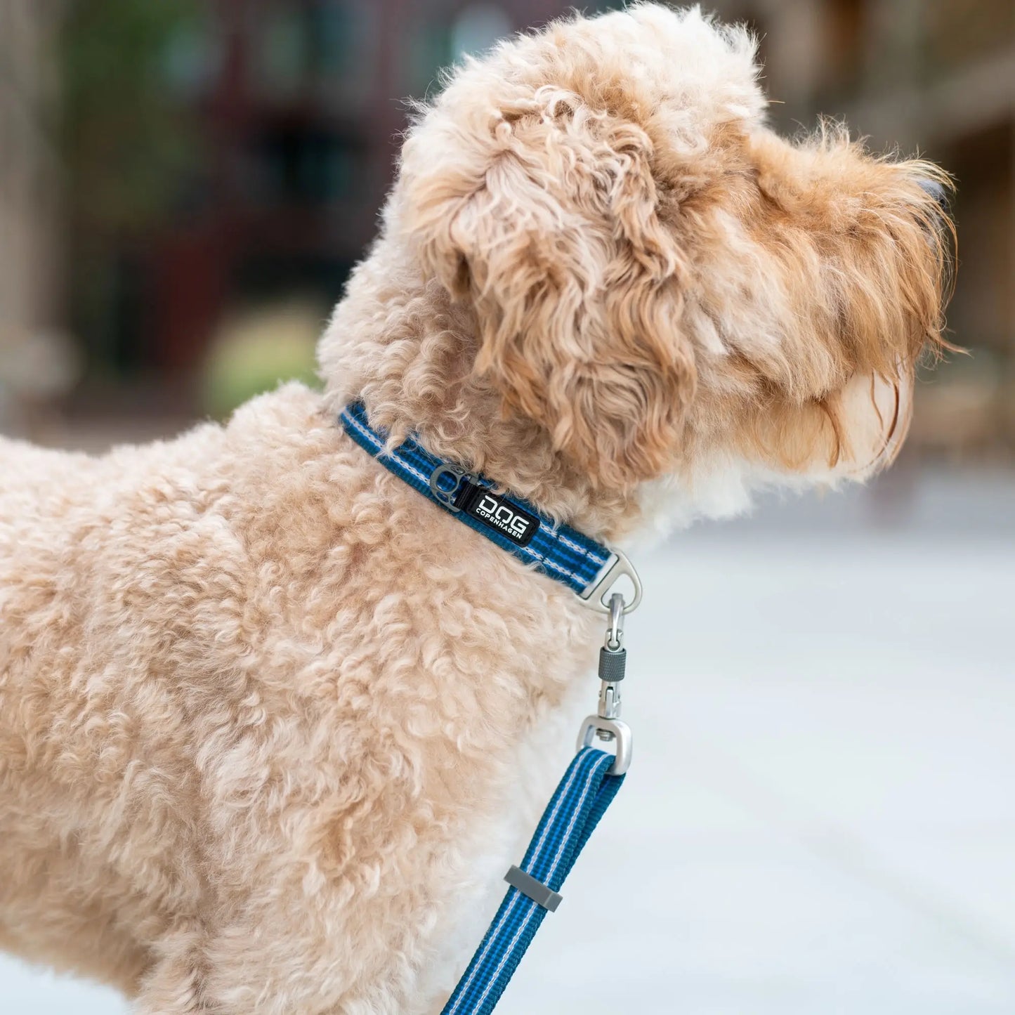 Dog Copenhagen Urban Style Collar – Mocca
