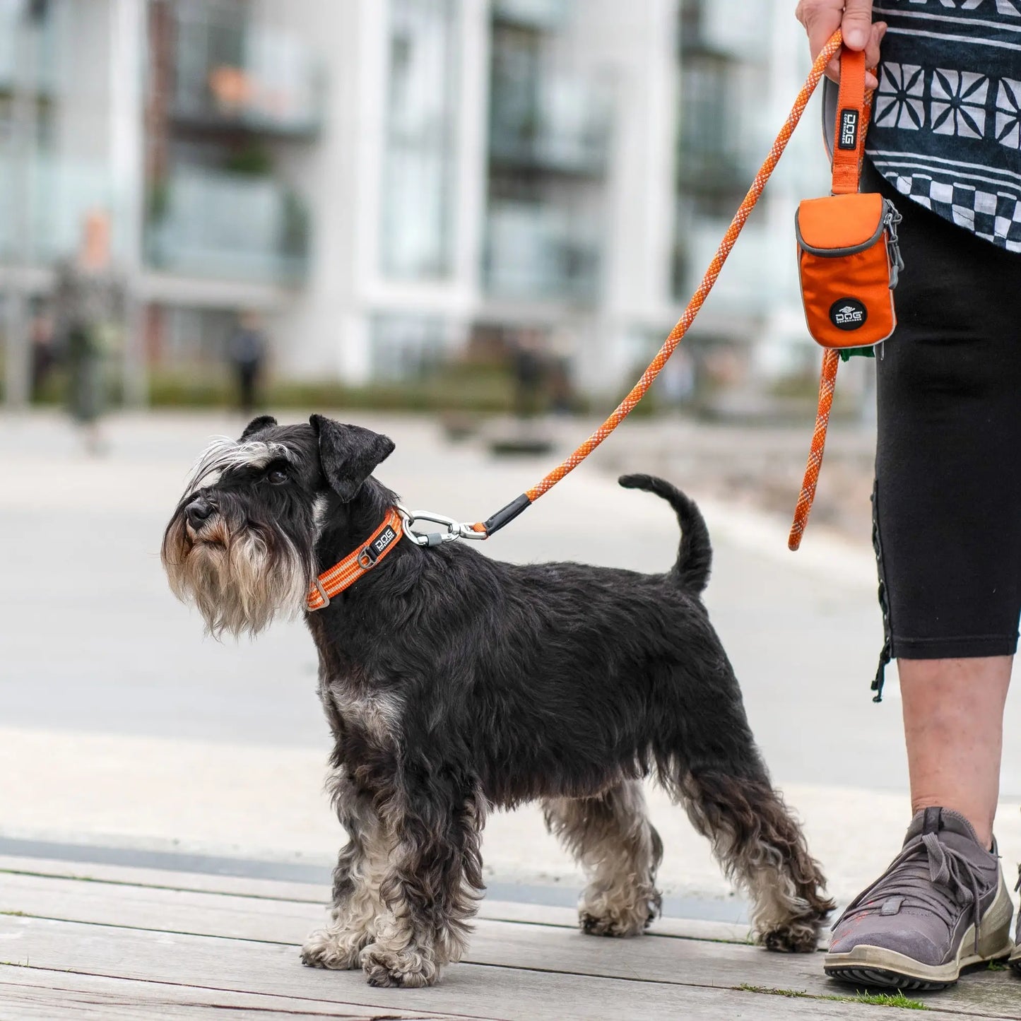Dog Copenhagen Urban Style Collar – Lemon