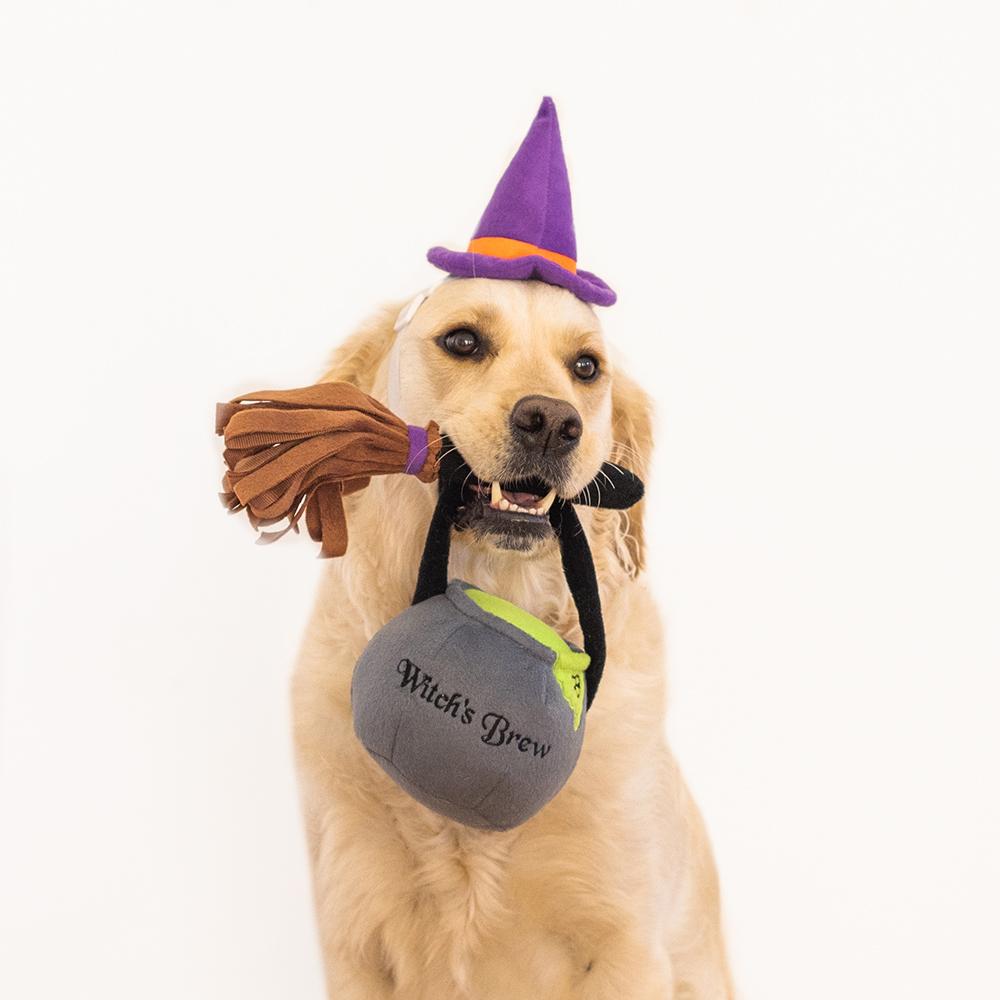 ZippyPaws Halloween Costume Kit Witch – Heksen Kostuum voor Honden
