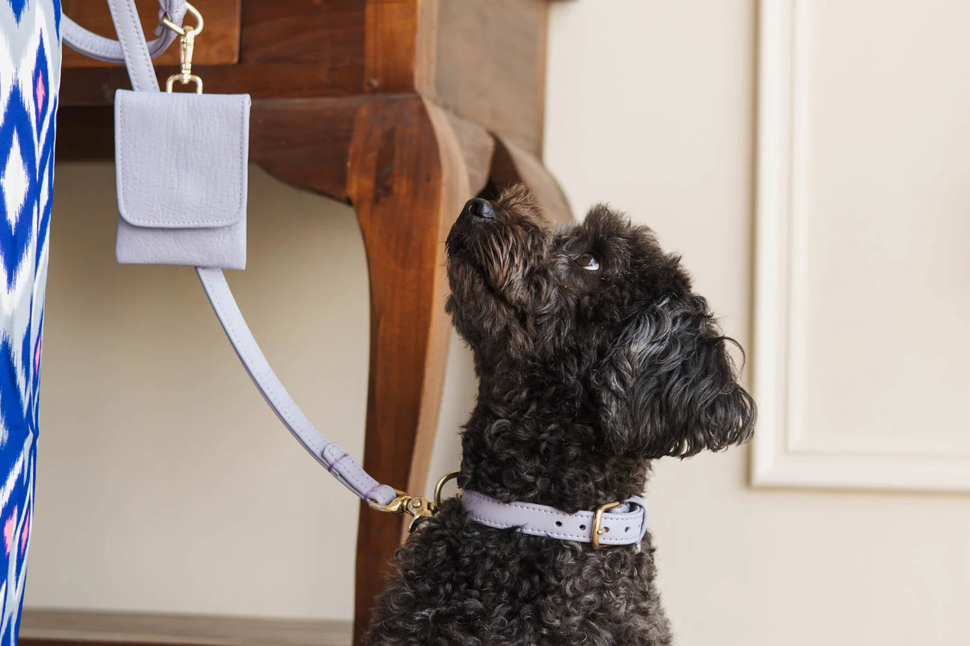 The Dog Musthaves Hondenlijn – Klassiek Lila met messing afwerking