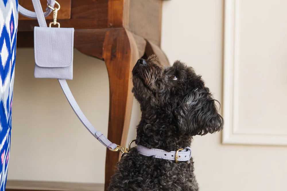 Pooch Leer Beloningstasje – Hondensnacks & Poepzakjes Paars
