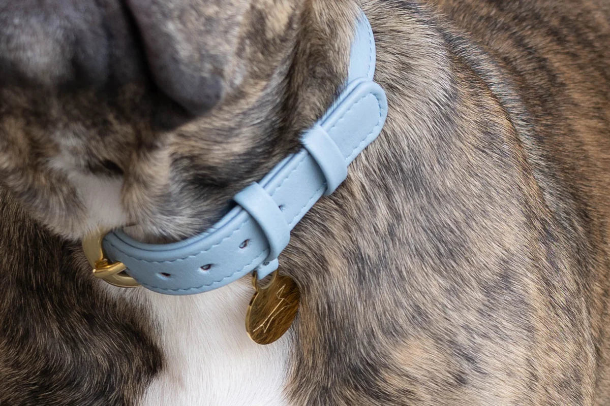 Hondenhalsband Luxe Leer met Naam Penning – Klassiek (Blauw)