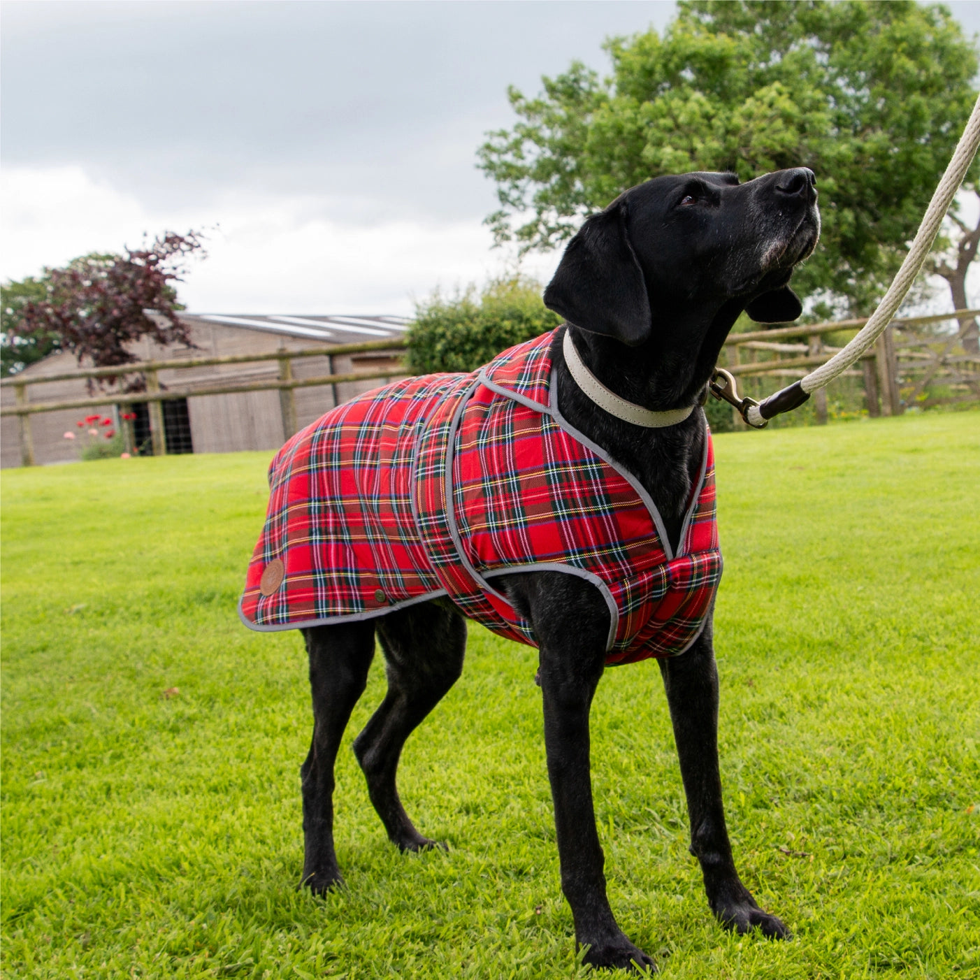 Tartan Highland Jas – klassieke rood-tartan stijl & warmte