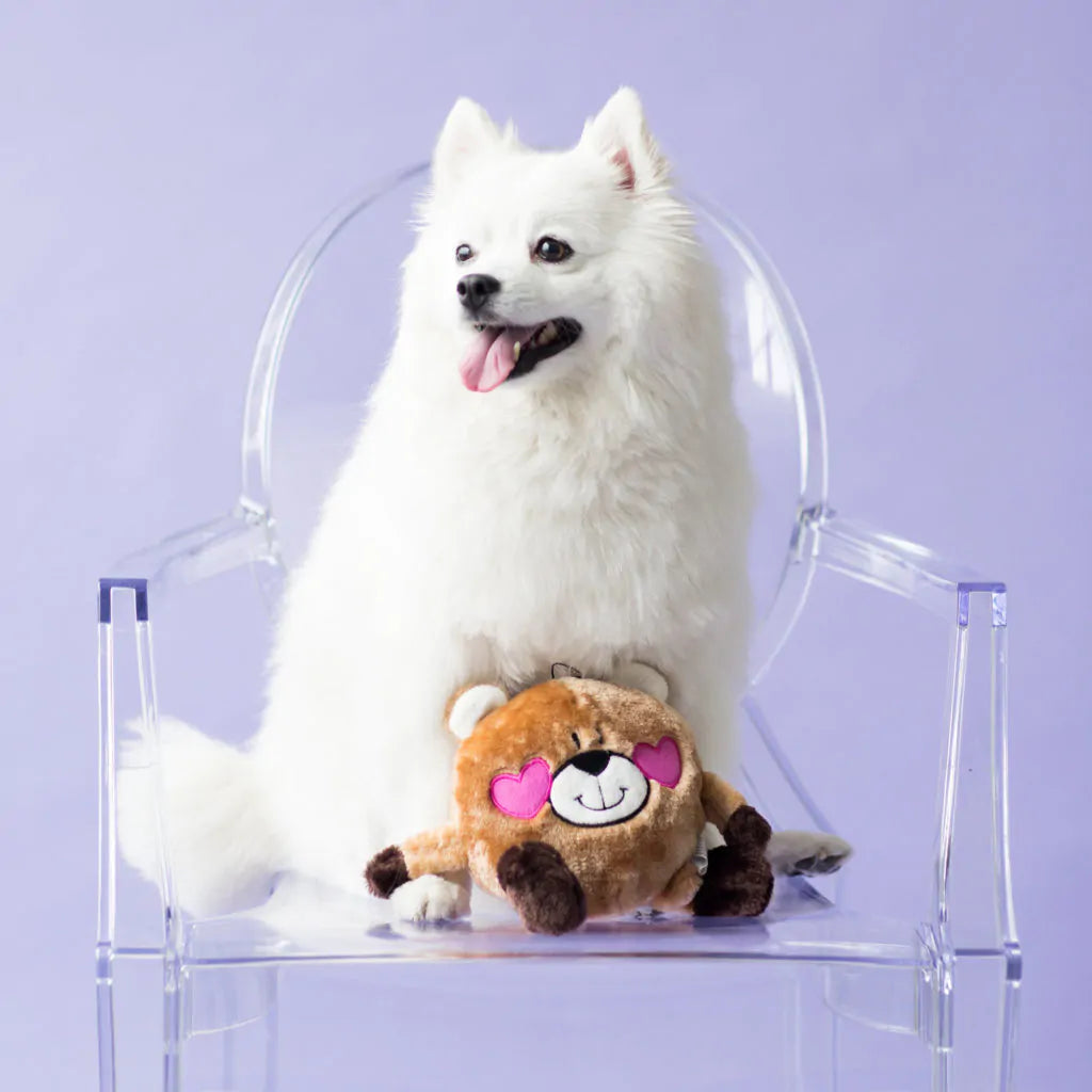 ZippyPaws Bear in Love – Pluche Hondenspeelgoed