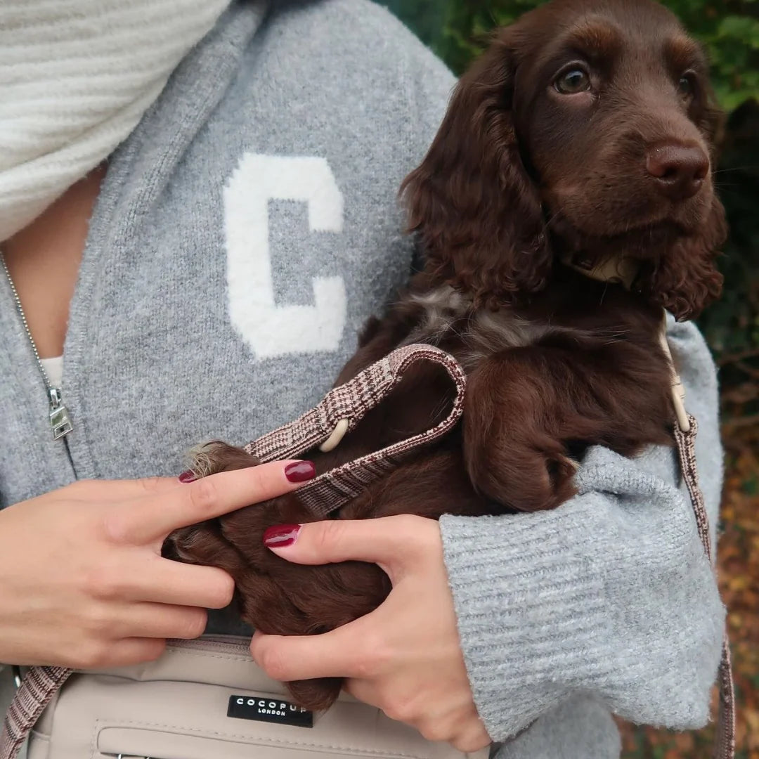 Cocopup London Pup Plaid – Hondenlijn