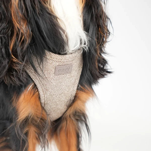 STAEY Saga Step-in Hondentuig – Mocca