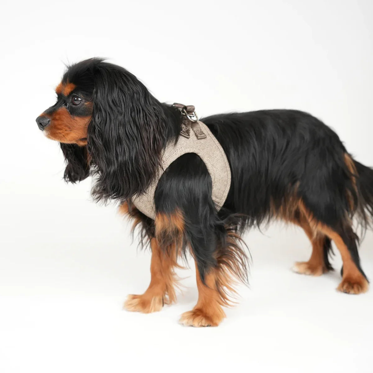 STAEY Saga Step-in Hondentuig – Mocca