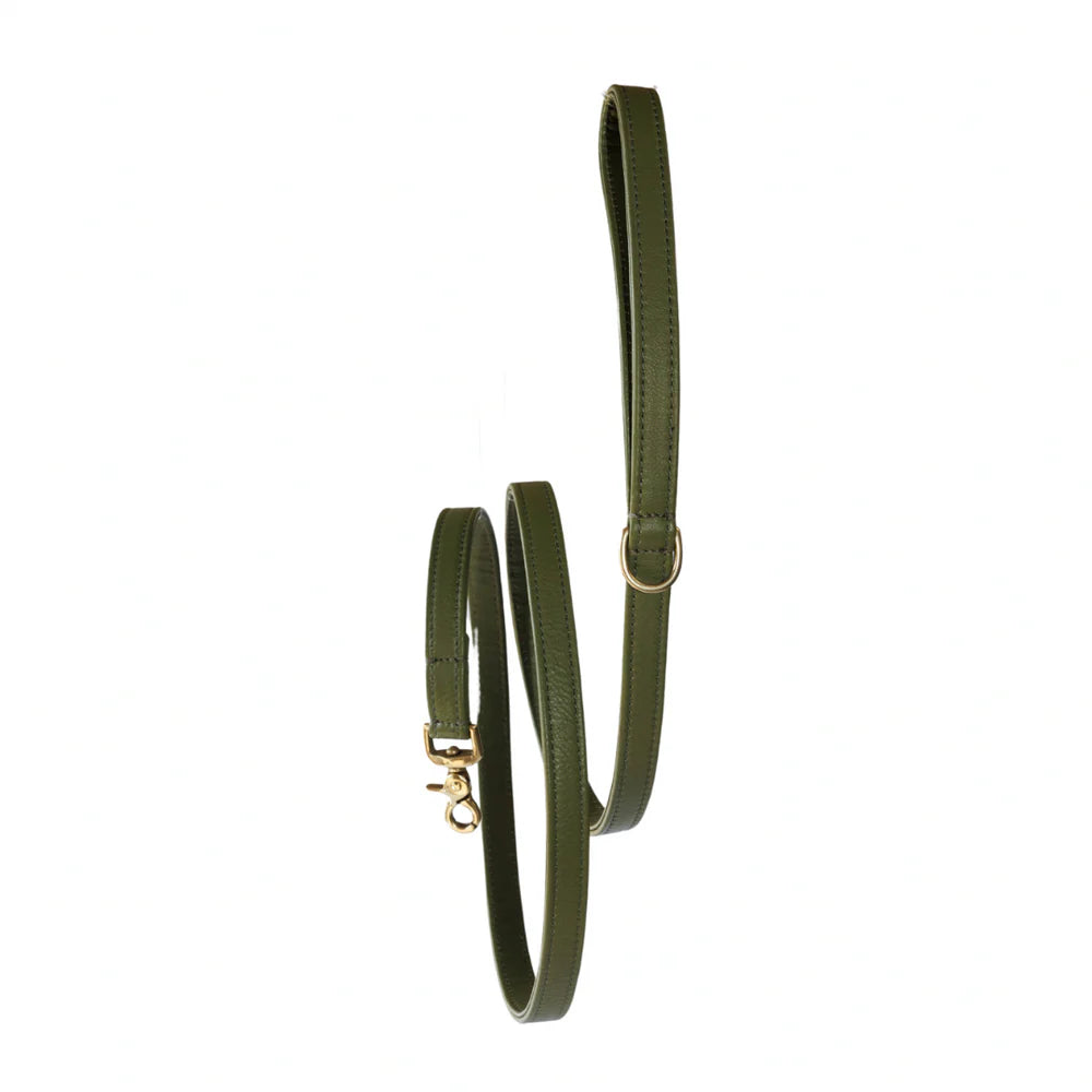 The Dog Musthaves Hondenlijn – Klassiek Groen met messing afwerking