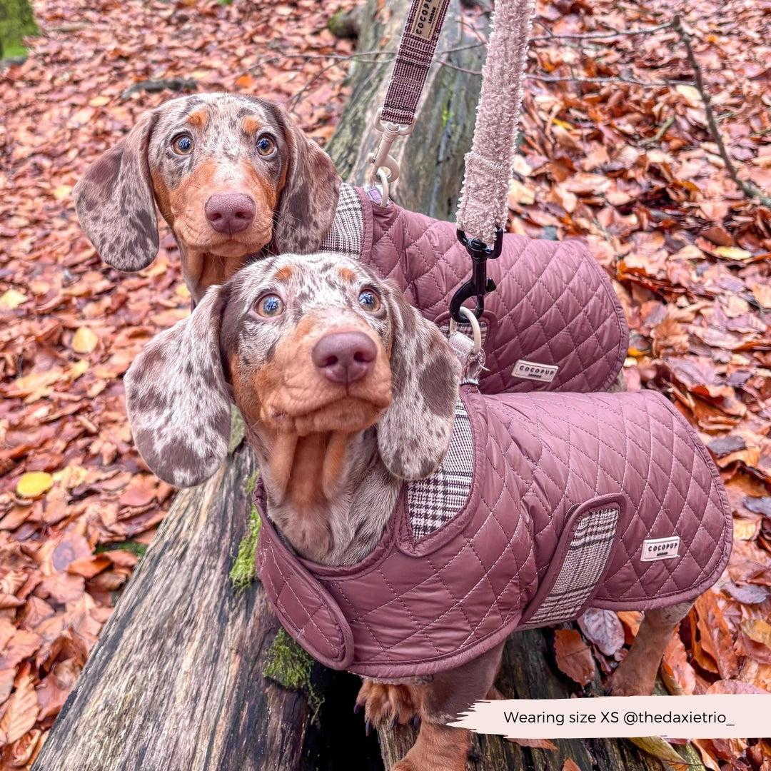 Cocopup London Gewatteerde Puppy Hondenjas Ruit – Teddyvoering – XS t/m M